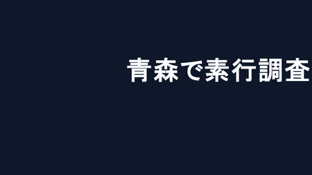 青森で素行調査を依頼する前に知っておくべき現実